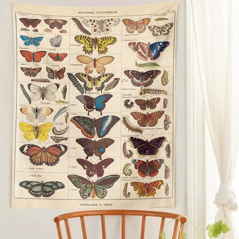 Butterfly Illustration Chart Tapestry Vintage Tapestries Aesthetic Tapestry Chart Tapestry Colorful Tapestry Wall Hanging