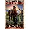 (Multi Style)Cowgirl - Vintage Metal Signs - 20*30cm/30*40cm - Western