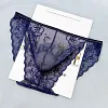 Men's Sexy Lace Mesh Transparent U-Shaped Pouch Briefs