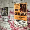 Rory Gallagher - Vintage Metal Signs - 20*30cm/30*40cm - Music