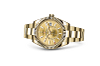 Rolex 326938 Sky-Dweller Champagne-Colour - New