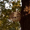 Crystal Lampshade Atmosphere Lampshade Decorative Lampshade for GZ Camping Light