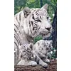 Tigers - 9CT Full Beaded Cross Stitch Kit(35x58cm)