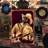 Hank Williams Jr. - Vintage Metal Signs - 20*30cm/30*40cm - Music