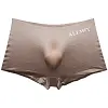 Men's Sexy Translucent Ice Silk Thin Boxer Briefs
