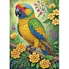 (US Local)Parrot-Special Shaped Diamond Painting Kit