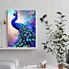 Paon-Diamant Rond 30X40CM