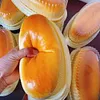 Sticky Squishy Cheese Cake Collections Stress Relief Toys 