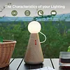 Bedroom Bedside Table Lamp Doll Lamp, Wireless Battery Powered Lamp USB-C Charging Port Bedside Lamp Wood Color Accent, Nightstand Entry Living Room Kids Home Office Small Lamp