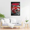 Chiefs - 11CT Stamped Cross Stitch - 35*55cm - Still Life