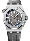 DIVER Grey Dial 42mm
