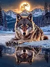 Moon Wolf-Full Round Diamond Painting 40*50cm
