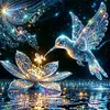 (US Local)Paint By Numbers Kit On Canvas DIY Oil Art Hummingbird Picture Home Decor40x40cm