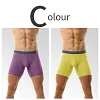 Men's Ice Silk Underwear Sexy Bulge Puch Low Rise See Through Boxer Briefs Thin Cool Boxers Shorts