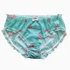Plus-size mid-waist, hip-hugging, sheer mesh briefs