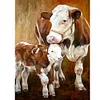 Cow Calf-Full Round Diamond Painting 30*40cm/40*50cm