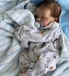 [Heartbeat💖 & Sound🔊] 17 '' Cullen Preemie Reborn Baby Dolls with Coos and "Heartbeat" - RBBI-Myrebornbabydoll&reg; Myrebornbabydoll&reg;