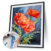(Multi-Size) Poppy Flower-Paint by Numbers Acrylic Painting 30*40/40*50cm