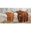 Cow- Full Round/Square Diamond Painting(80*40cm)
