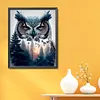 Owl - 11CT Stamped Cross Stitch - 40*50cm
