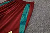 Joyfball 2024/2025 Mexico Half-Pull Training Suit Green Football Shirt 1:1 Thai Quality