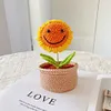 DIY Flower Potted Crochet Kit with Video Tutorial Cute Plants Hand-Knitted Tool