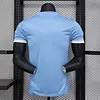 2024/2025 Player Version Manchester City Special Edition Blue Football Shirt 1:1 Thai Quality