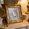 Owl-Partial Special Shaped Diamond Painting 30*30CM
