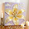 Lily DIY Pearl Painting Kit with Frame 30x30cm Pearl Gem Paintings Picture Arts Craft for Adults/Beginners Gift Home Wall Decor