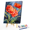 (Multi-Size) Poppy Flower-Paint by Numbers Acrylic Painting 30*40/40*50cm