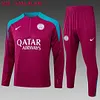 2024/2025 Psg Paris Saint-Germain Half-Pull Training Suit Purple-Red Football Shirt 1:1 Thai Quality