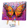 Butterfly-Paint by Numbers Acrylic Painting 30*40cm