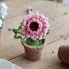 DIY Handmade Twist Stick Craft Small Potted Plants Chenille Stems Craft Pipe Cleaners Gift Decor Set