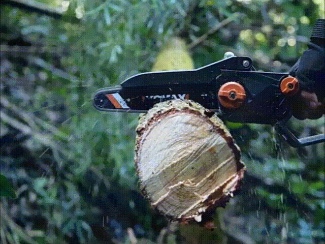 1713423566748355.gif 锯40CM的树_batch 00_00_00-00_00_30.gif