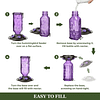Hummingbird Feeder - Leak-proof seal