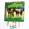 Paint by Numbers Acrylic Painting - Horse 40*40cm