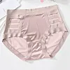 Pearlescent satin paneled mesh briefs