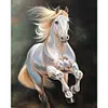 Galloping Horse-Paint By Numbers Acrylic Painting 40*50CM