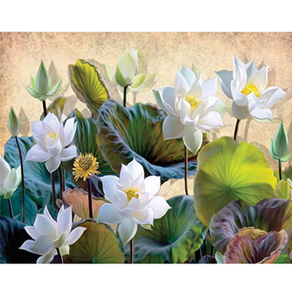 White Hibiscus-Paint by Numbers-16"x20"/40x50cm