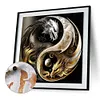 Tai Chi Dragon-Paint by Numbers Acrylic Painting 40*40CM