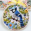 Bird-Embroidery Kit