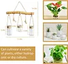 Glass Container Plants Glass Air Plants Hanging Glass Container Plants Glass Home Decor Vase Wall Mounted Glass Planter (Hanging Glass Vase)