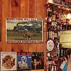 Everything Will Kill You So Choose Something Fun - Vintage Metal Signs - 20*30cm/30*40cm - Western