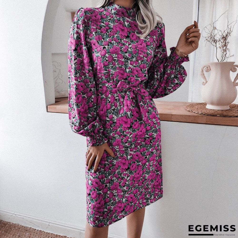 Floral Stand Collar Lantern Long Sleeve Chiffon Dress | EGEMISS