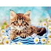 Diamond Painting -DIY Full Square Drill Cat