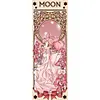 Sailor Moon Clow Card Girl-11CT Stamped Cross Stitch
