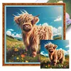 Highland Cow-11CT Stamped Cross Stitch 40*40cm