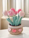 DIY Flower Potted Crochet Kit with Video Tutorial Cute Plants Hand-Knitted Tool