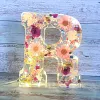 Last Day Promotion 49% OFF -Floral Resin Night Light