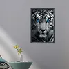(US Local)White Tiger - Round AB Drills Diamond Painting(45x65cm)